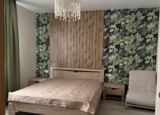 Сдаю однокомнатную квартиру, 50 м2, Геленджик, улица Адмирала Проценко, 6