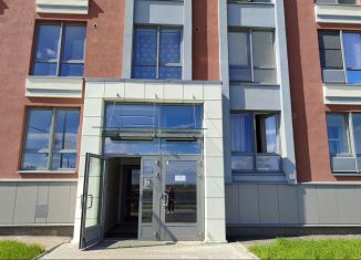 Аренда однокомнатной квартиры, 41 м2, посёлок Шушары, улица Нины Петровой, 10к1