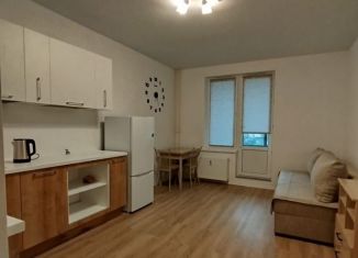 Сдам квартиру студию, 24 м2, Колпино, проспект Ленина, 60, ЖК Астрид