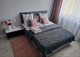 Сдаю в аренду 1-ком. квартиру, 31 м2, Нижний Новгород, проспект Ленина, 40