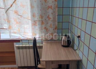 Сдам в аренду 1-комнатную квартиру, 33.3 м2, Новосибирск, улица Семьи Шамшиных, 83, Центральный район