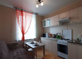 Сдам в аренду 1-ком. квартиру, 34 м2, Санкт-Петербург, Русановская улица, 19к4, метро Обухово