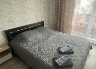 Сдается квартира студия, 30 м2, Кингисепп, улица Воровского, 50к2