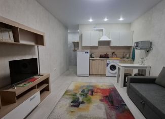 Сдам в аренду квартиру студию, 25 м2, Новороссийск, улица Красина, 53к5
