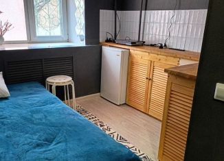 Сдам в аренду квартиру студию, 14 м2, Екатеринбург, Самолётная улица, 3к1