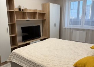 Сдаю в аренду 1-комнатную квартиру, 45 м2, Ростов-на-Дону, улица Нансена, 103/1/7, ЖК Звезда Столицы