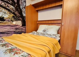 Сдается в аренду двухкомнатная квартира, 64 м2, Санкт-Петербург, Афонская улица, 24к1, муниципальный округ Коломяги