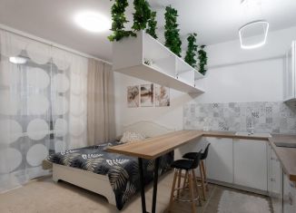 Сдам квартиру студию, 30 м2, поселок Бугры, улица Шекспира, 1к2