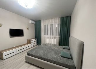Сдача в аренду 1-ком. квартиры, 45 м2, Краснодар, Стахановская улица, 1/5