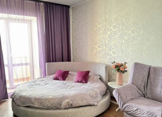 Однокомнатная квартира в аренду, 42 м2, Омск, улица Дианова, 9к1