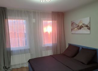 Сдача в аренду квартиры студии, 22.3 м2, Санкт-Петербург, улица Маршала Казакова, 21к3, Красносельский район