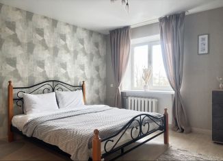 Однокомнатная квартира в аренду, 35 м2, Нижний Новгород, Большая Покровская улица, 58, Нижегородский район
