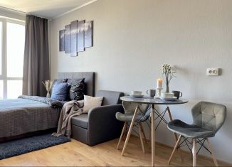 Сдам квартиру студию, 24 м2, посёлок Парголово, Толубеевский проезд, 8к2