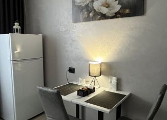 Сдается 1-ком. квартира, 35.1 м2, Ленинградская область, Севастопольская улица, 1