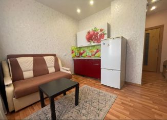 Сдаю квартиру студию, 18 м2, Новосибирская область, улица Твардовского, 22