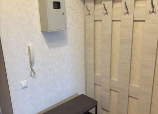 Сдам однокомнатную квартиру, 45 м2, Липецк, проспект Победы, 128