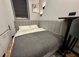 Сдается квартира студия, 25 м2, Санкт-Петербург, улица Черняховского, 56, муниципальный округ Лиговка-Ямская