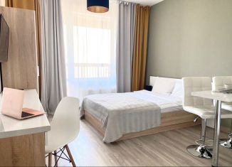 Аренда квартиры студии, 25.2 м2, Санкт-Петербург, 5-й Предпортовый проезд, 2, 5-й Предпортовый проезд