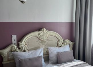 Квартира в аренду студия, 17 м2, Республика Башкортостан, Караидельская улица, 62