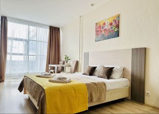 Аренда квартиры студии, 28 м2, Санкт-Петербург, Пулковское шоссе, 14Е, муниципальный округ Звёздное