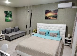 Сдается квартира студия, 22.9 м2, поселок городского типа Стройкерамика, улица Николая Симонова, 10