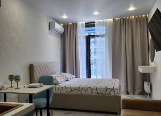Сдается в аренду квартира студия, 23 м2, Сочи, Ясногорская улица, 16/2к4, микрорайон Бытха