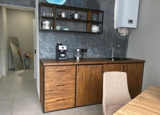 Сдается квартира студия, 52 м2, Геленджик, улица Островского, 172