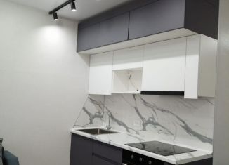 Сдаю в аренду квартиру студию, 25 м2, Курганская область, 12-й микрорайон, 22