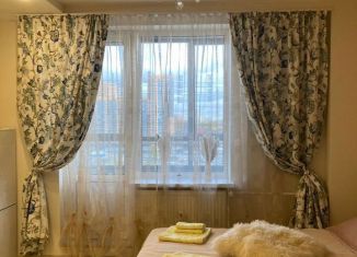 Сдам квартиру студию, 24 м2, Мурино, проспект Авиаторов Балтики, 5