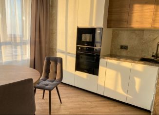 Сдается 1-ком. квартира, 60 м2, Тюмень, улица Пожарных и Спасателей, 1