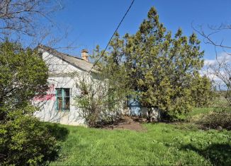 Продажа дома, 49.4 м2, село Белинское, Новостепная улица, 11