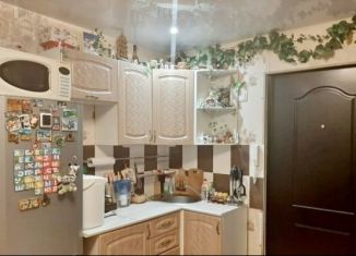 Аренда квартиры студии, 16 м2, Новосибирск, улица Никитина, 143, Октябрьский район