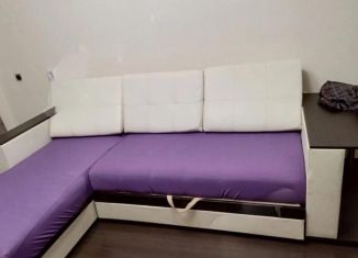 Сдаю в аренду однокомнатную квартиру, 38 м2, Екатеринбург, улица Крестинского, 37к1, Чкаловский район
