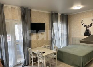 Продажа квартиры студии, 32 м2, село Варваровка, улица Калинина, 150к1