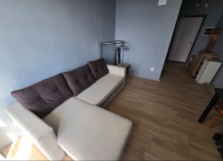 Сдается в аренду квартира студия, 20 м2, Екатеринбург, микрорайон Светлый, 10, метро Ботаническая