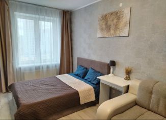 Сдается однокомнатная квартира, 40.5 м2, Екатеринбург, улица Циолковского, 29, ЖК Времена Года