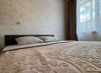 Аренда 2-комнатной квартиры, 50 м2, Благовещенск, улица Шевченко