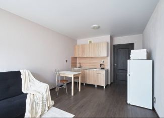 Сдается в аренду квартира студия, 25.3 м2, Мурино, Екатерининская улица, 8к2, ЖК Три кита