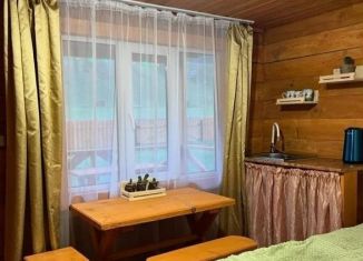 Сдаю в аренду дом, 16 м2, Республика Алтай, Центральная улица, 27