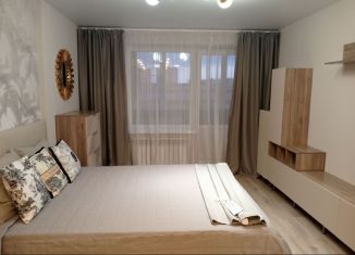 Аренда 1-комнатной квартиры, 35 м2, Колпино, улица Веры Слуцкой, 50