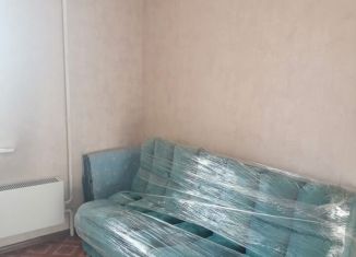 Сдаю в аренду квартиру студию, 23 м2, Новосибирск, улица Виктора Уса, 7, метро Площадь Маркса