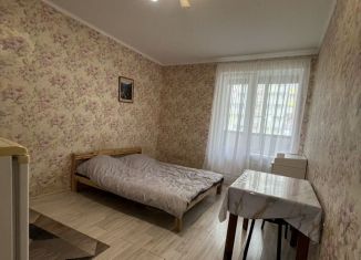 Продажа квартиры студии, 21.5 м2, Кудрово, Пражская улица, 11