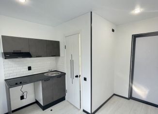 Квартира на продажу студия, 12 м2, Санкт-Петербург, Бухарестская улица, 15, муниципальный округ Волковское