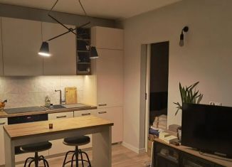 Продается квартира студия, 24 м2, Санкт-Петербург, улица Рубинштейна, 38, муниципальный округ Владимирский