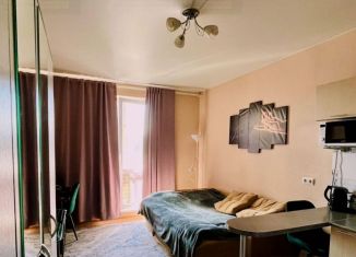 Продается квартира студия, 16.7 м2, Москва, Волжский Бульвар квартал 114А, к6, ЮВАО