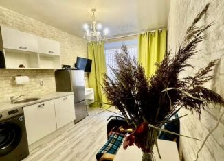 Продается квартира студия, 15 м2, Санкт-Петербург, Фарфоровская улица, 20, Невский район
