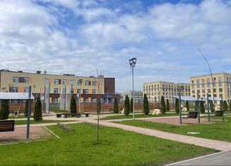 Квартира в аренду студия, 27.4 м2, посёлок Шушары, улица Нины Петровой, 8к4