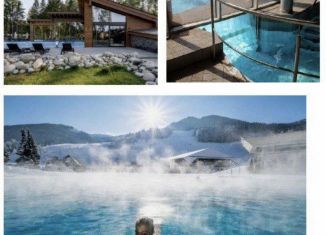 Участок на продажу, 615 сот., поселок Катунь