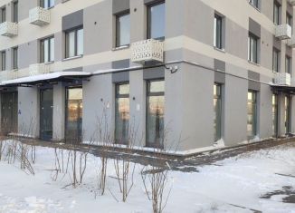 Помещение свободного назначения на продажу, 76 м2, Санкт-Петербург, улица Морской Пехоты, 26к2, муниципальный округ Юго-Запад