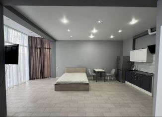 Сдается в аренду квартира студия, 45 м2, Сочи, улица Голенева, 17/16, микрорайон Заречный